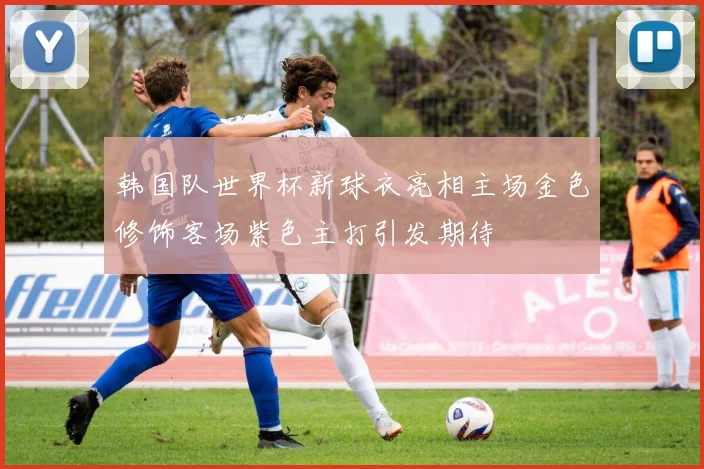 韩国队世界杯新球衣亮相主场金色修饰客场紫色主打引发期待