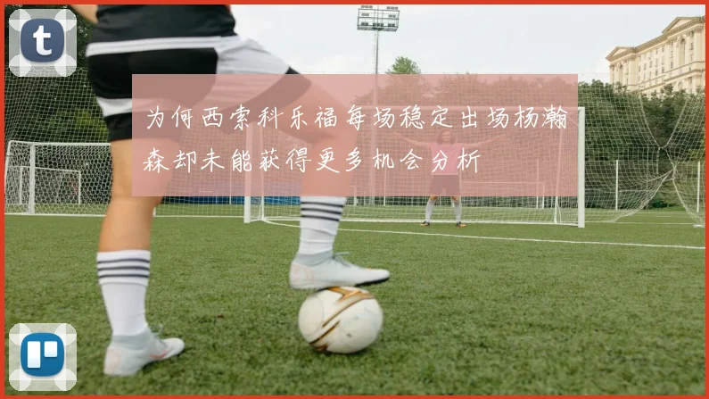 为何西索科乐福每场稳定出场杨瀚森却未能获得更多机会分析