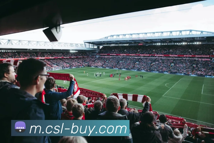 中超买球官网平台生态图